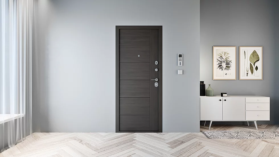 Вхідні двері Modern